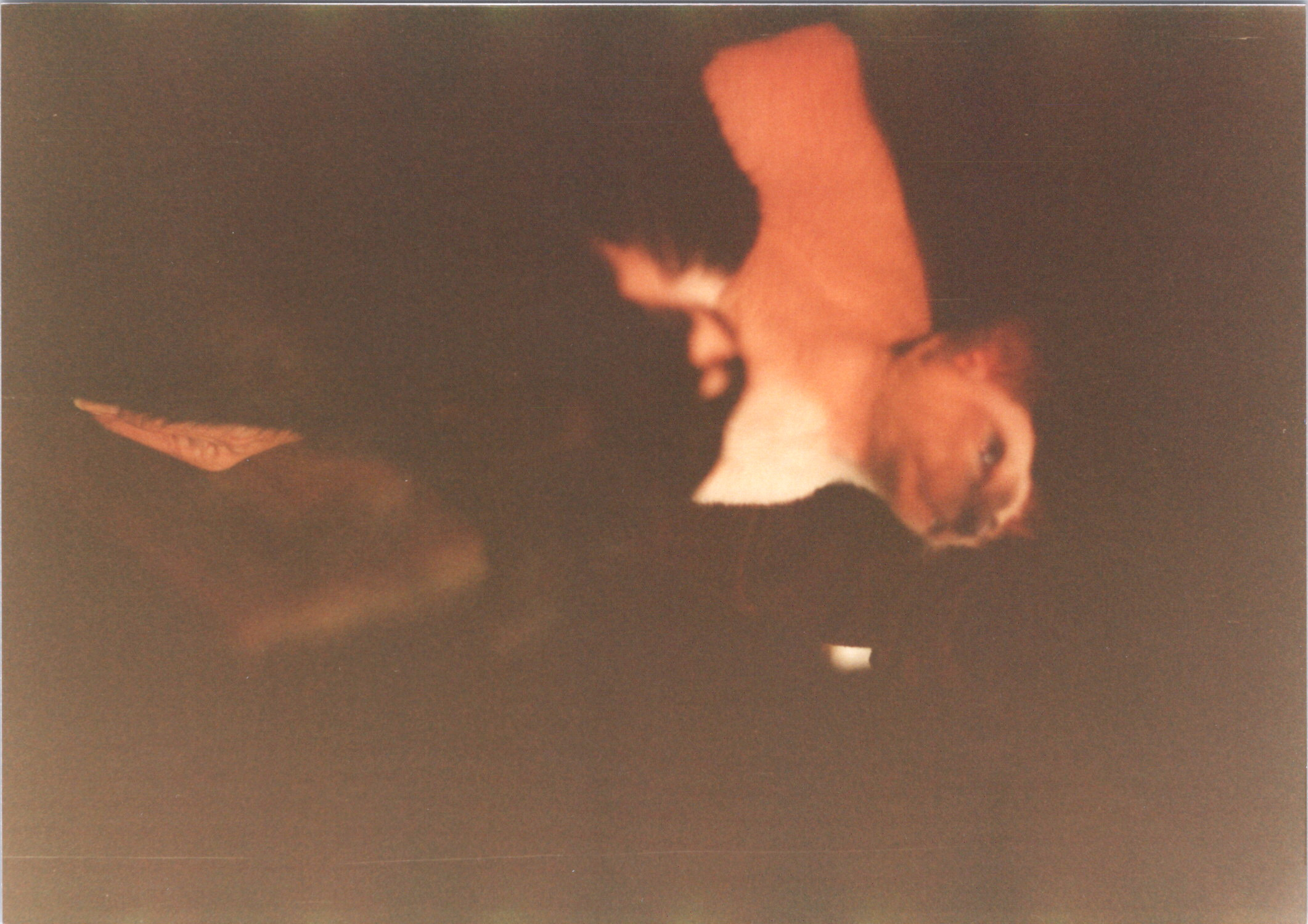 2025-04-12-0006