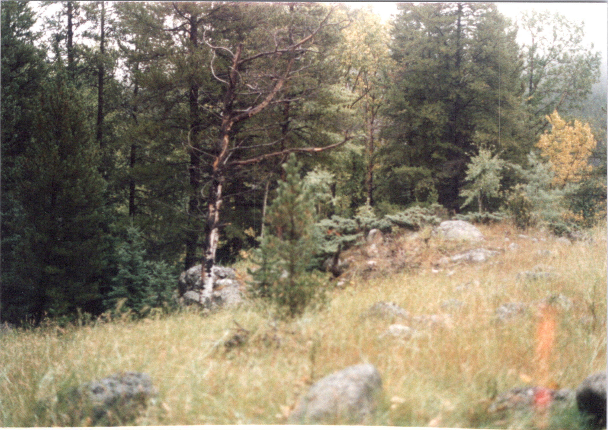 2025-04-12-0083