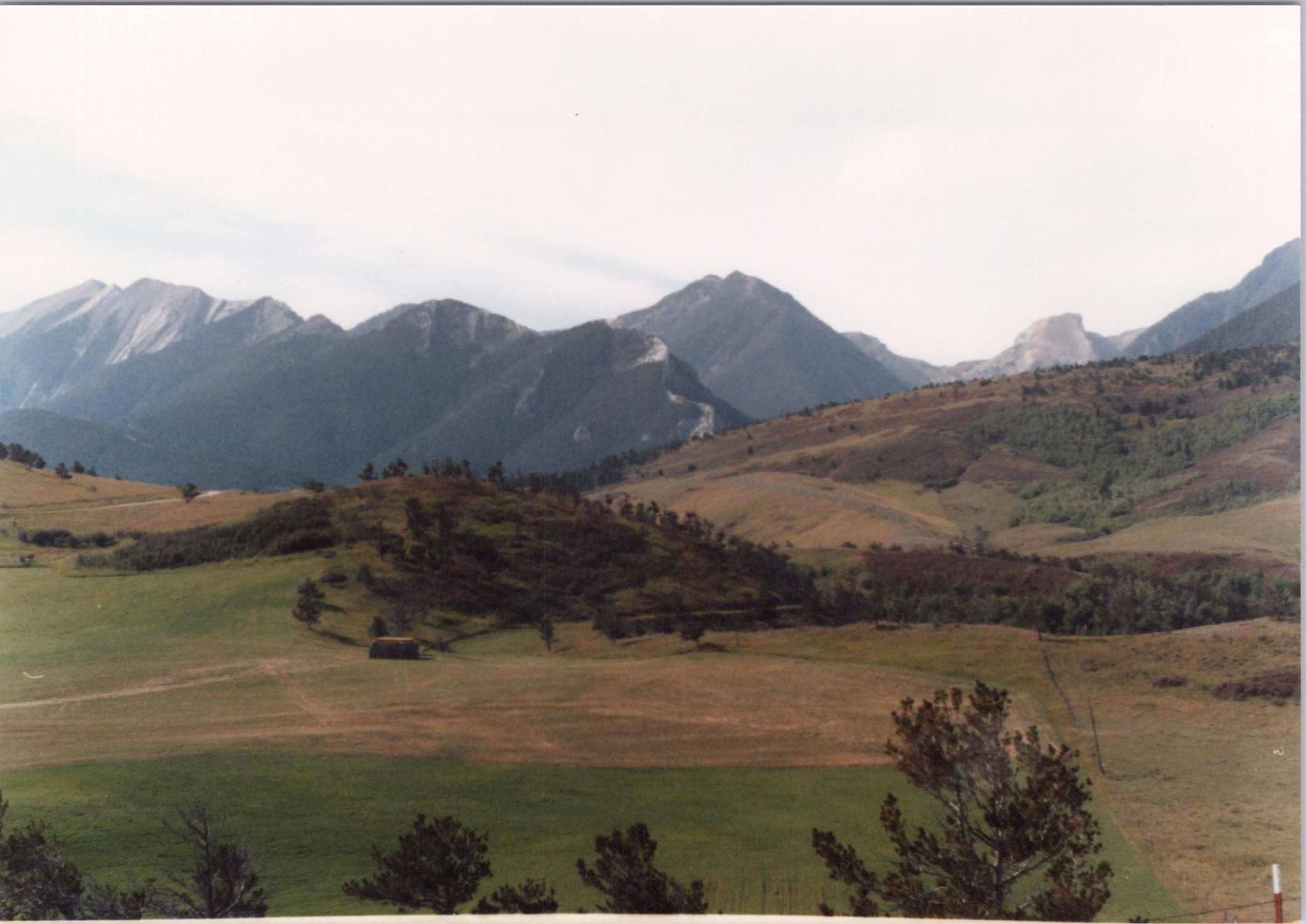 2025-04-12-0089