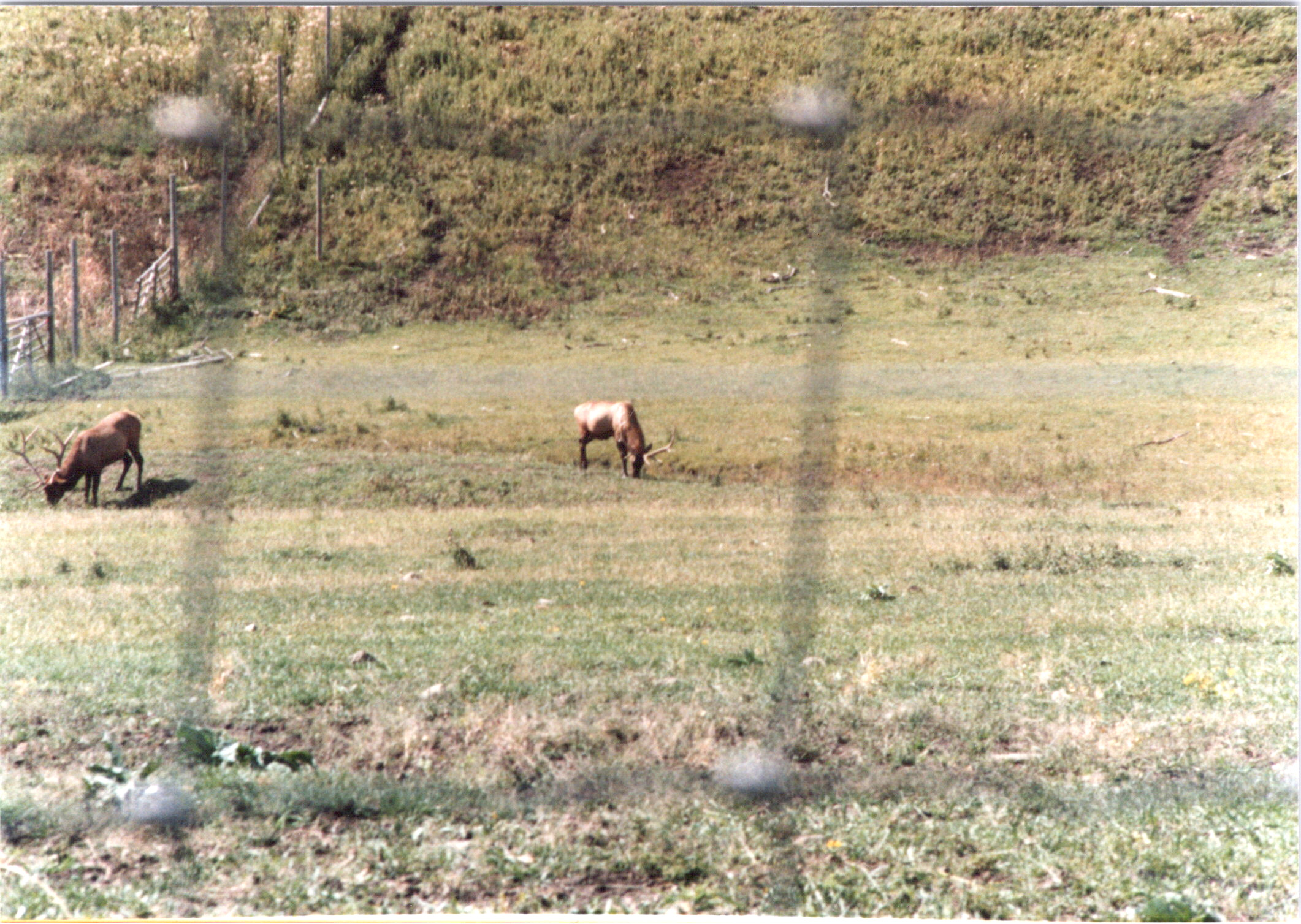 2025-04-12-0094