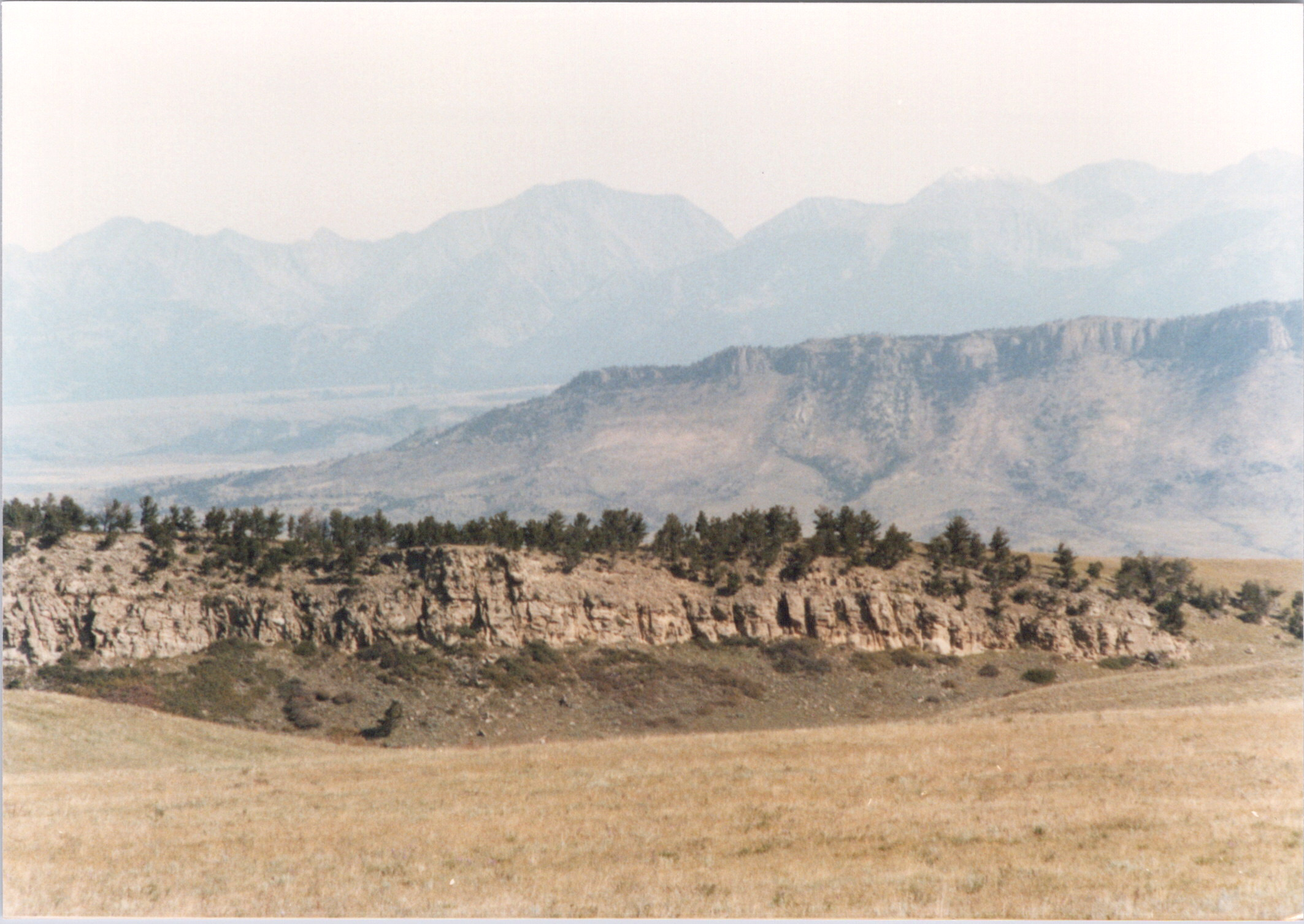 2025-04-12-0095