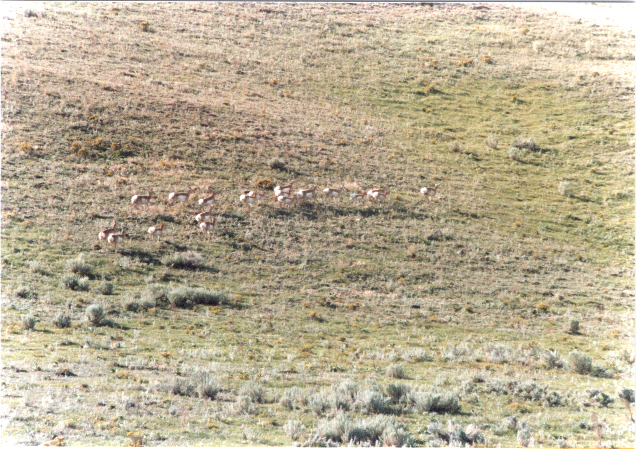 2025-04-12-0096