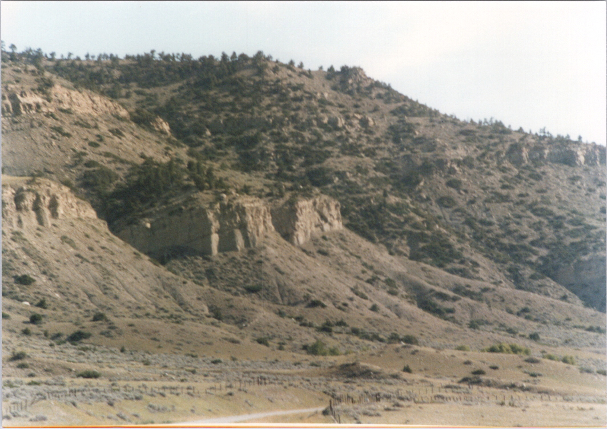 2025-04-12-0103