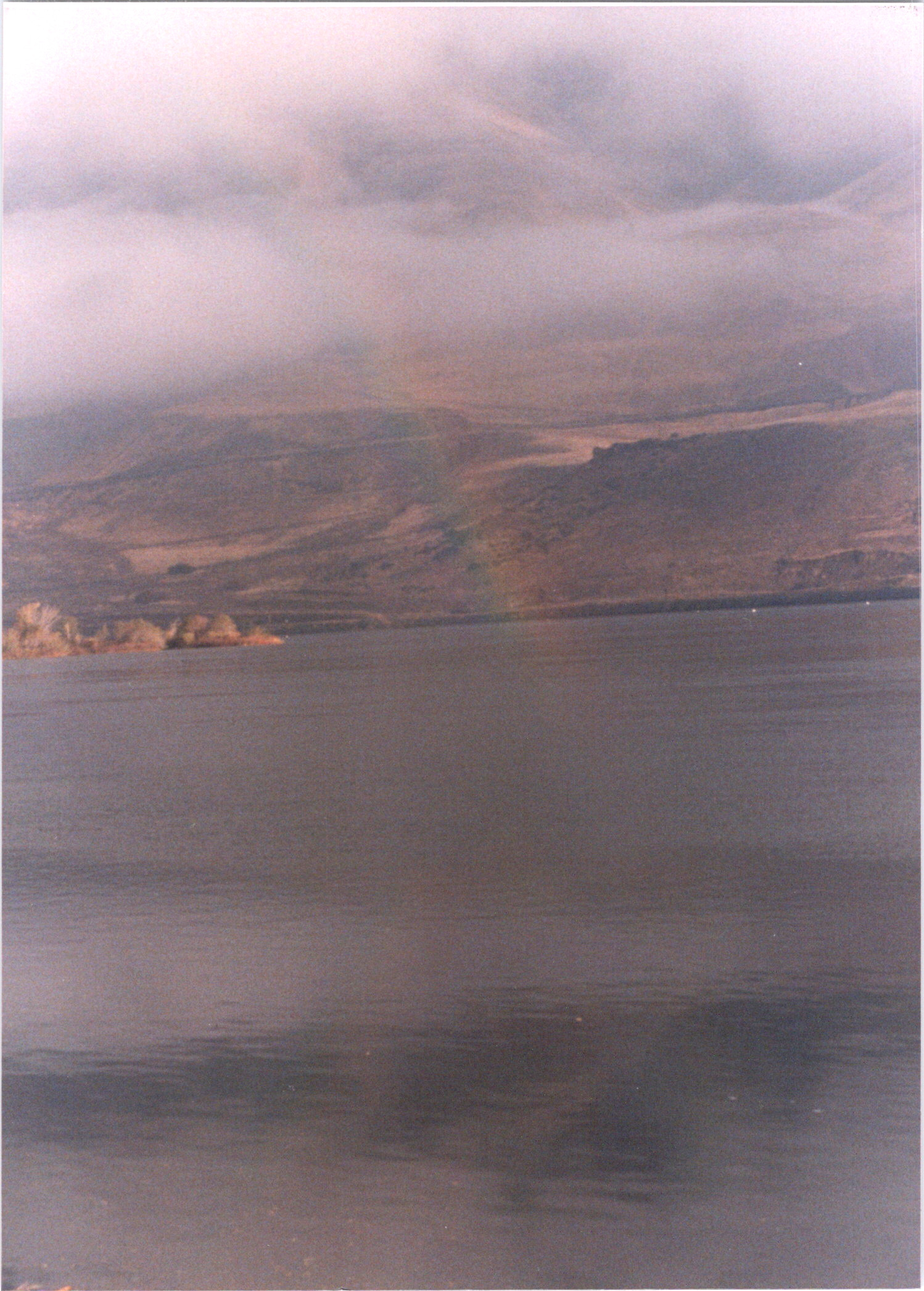 2025-04-12-0118