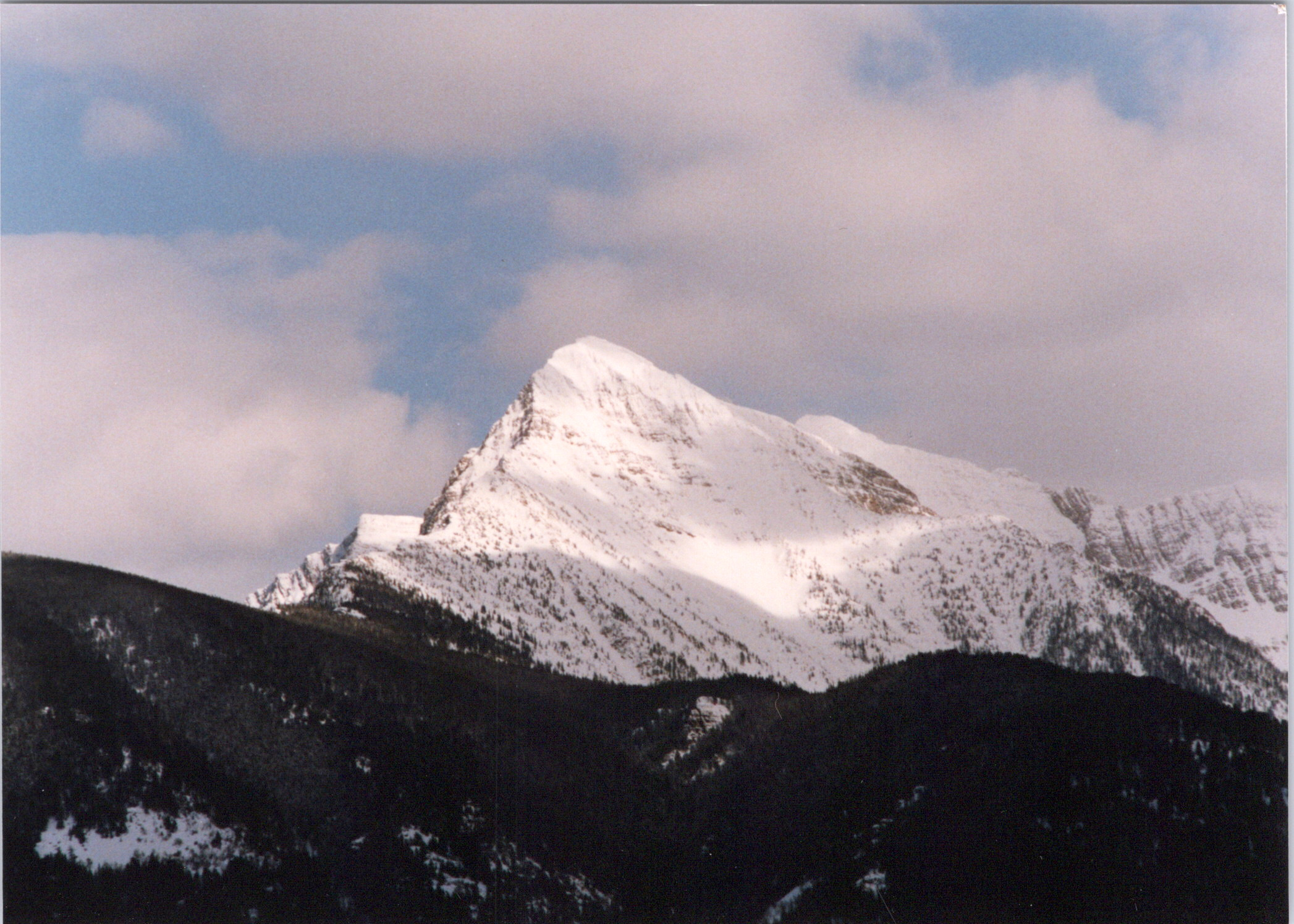 2025-04-12-0169