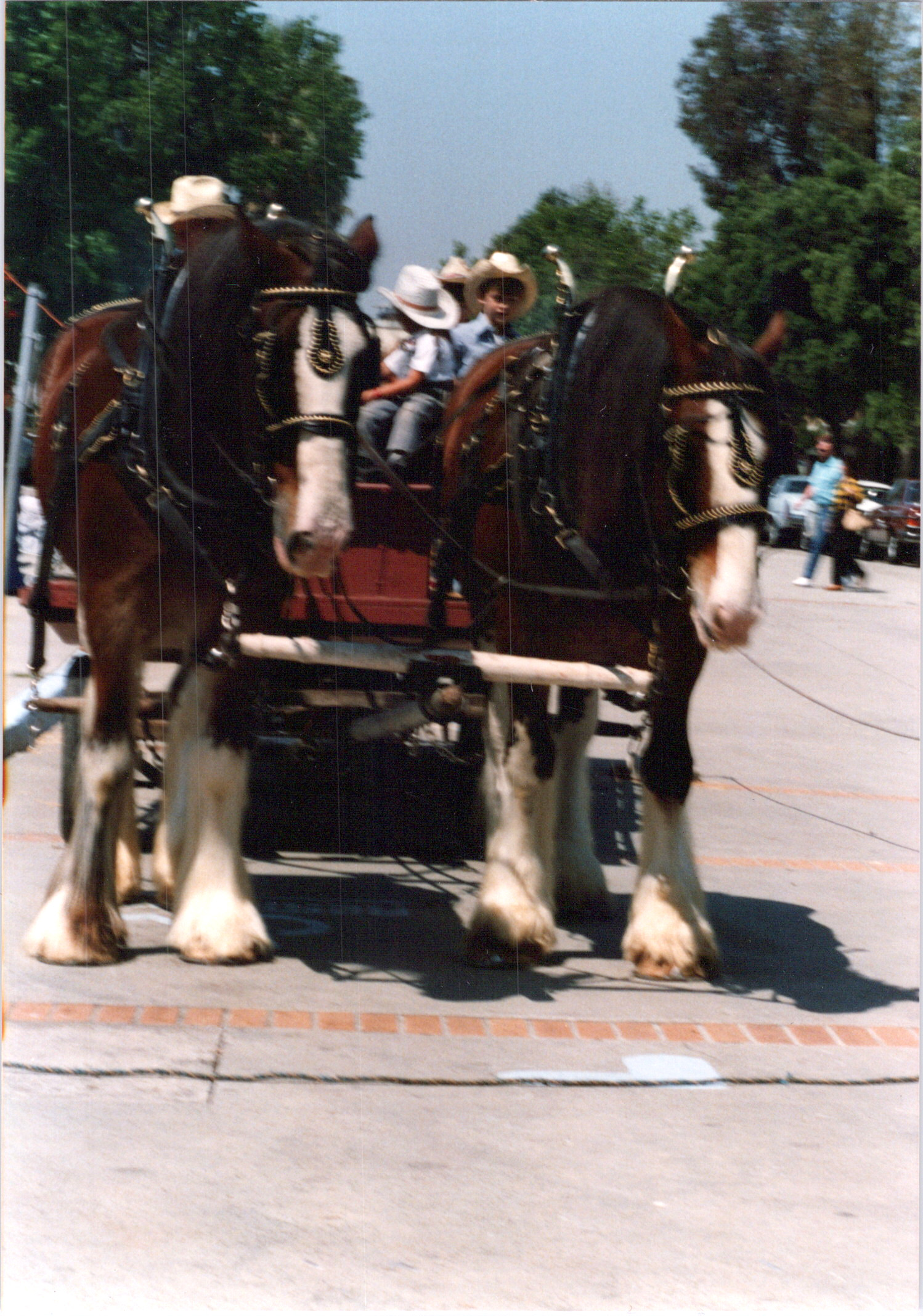 2025-04-12-0223