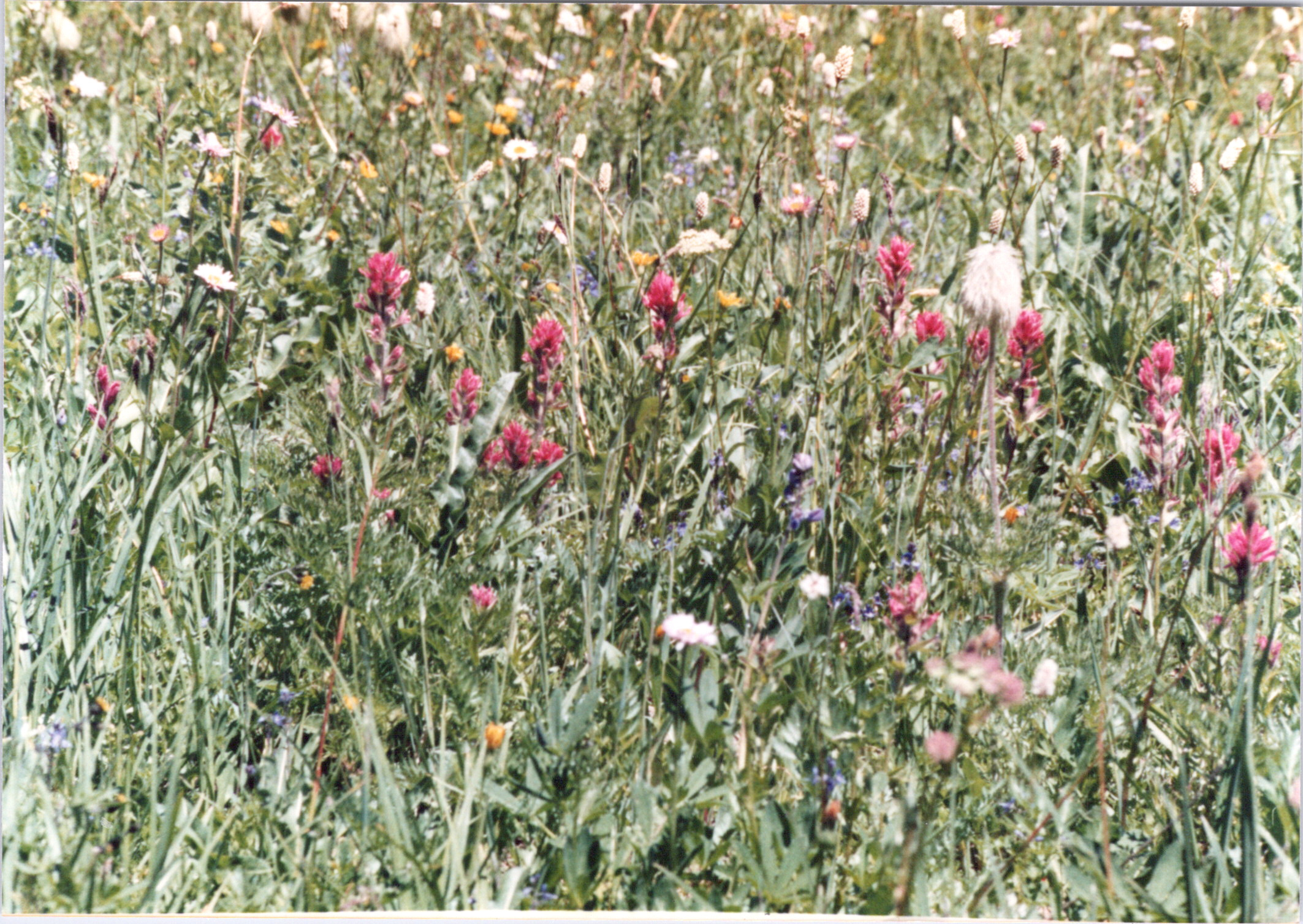 2025-04-12-0278