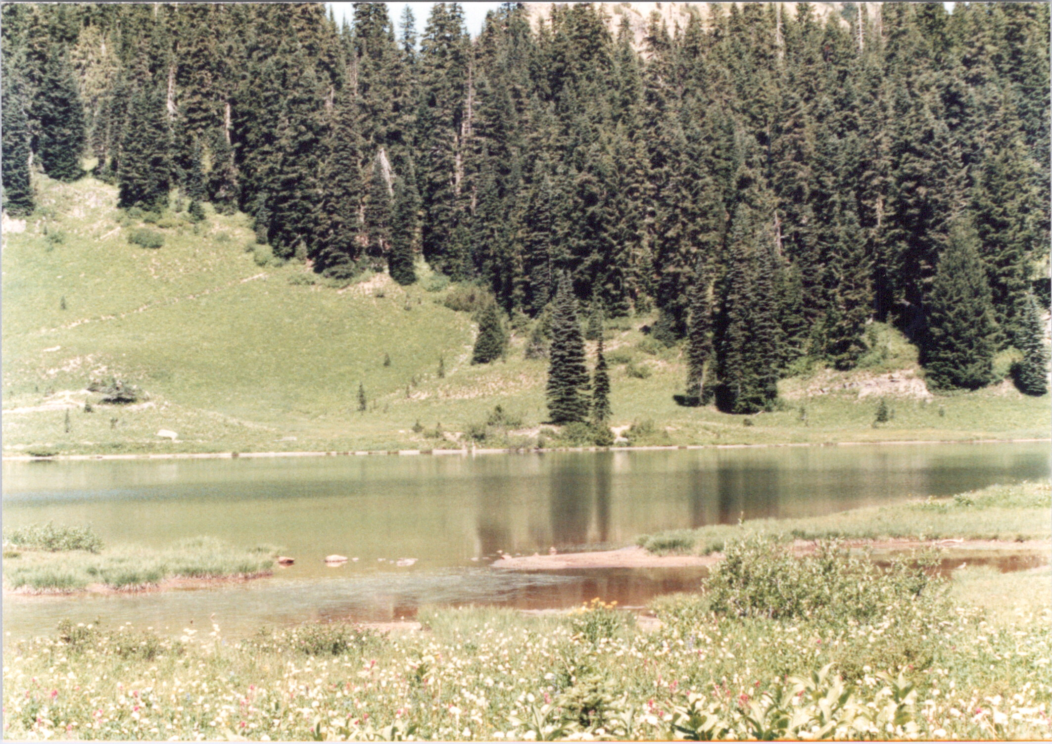 2025-04-12-0281
