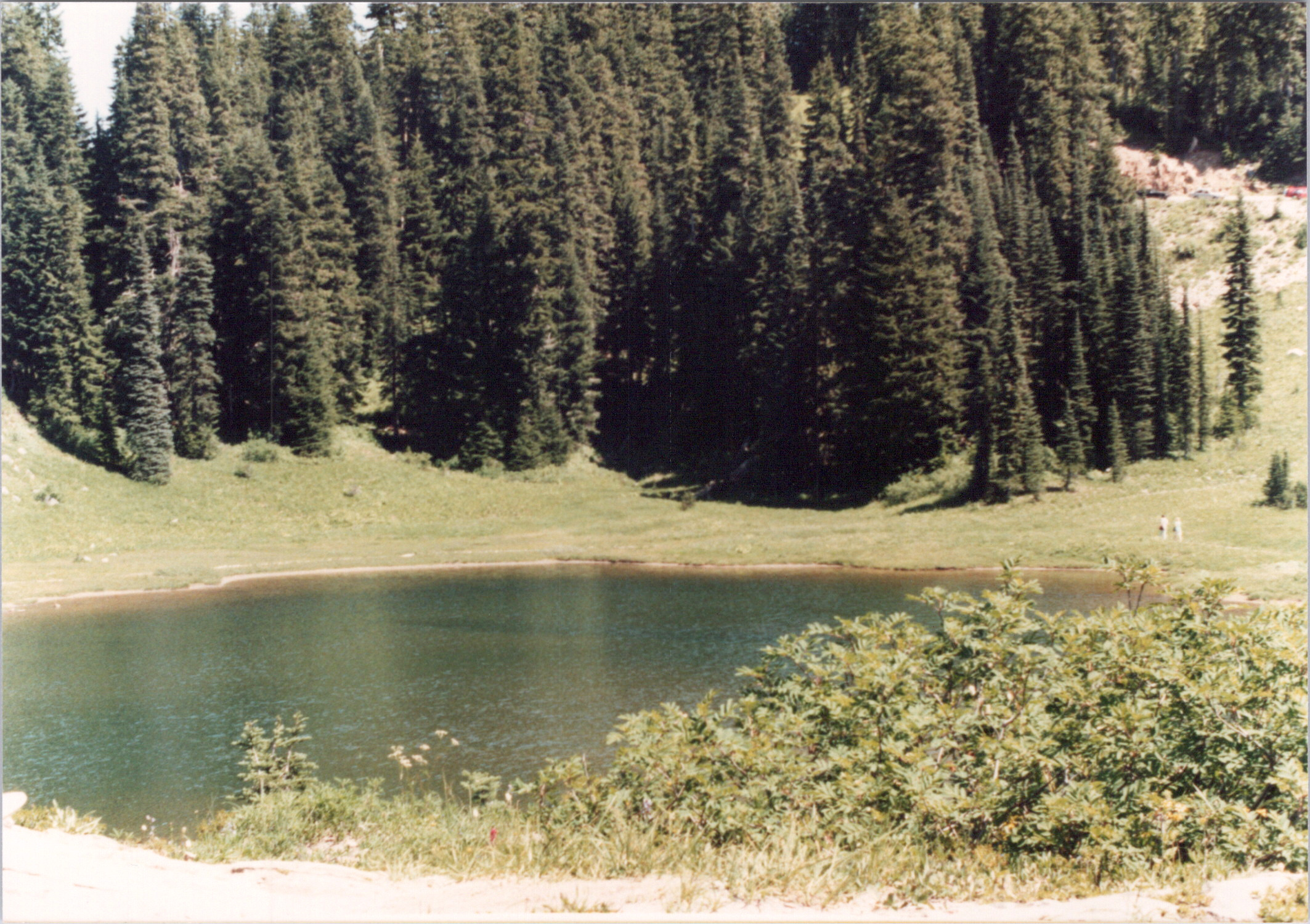 2025-04-12-0285