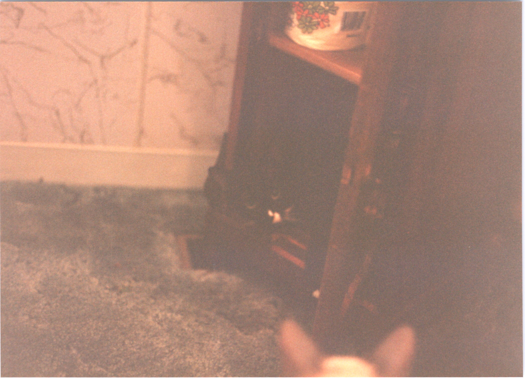 2025-04-12-0370