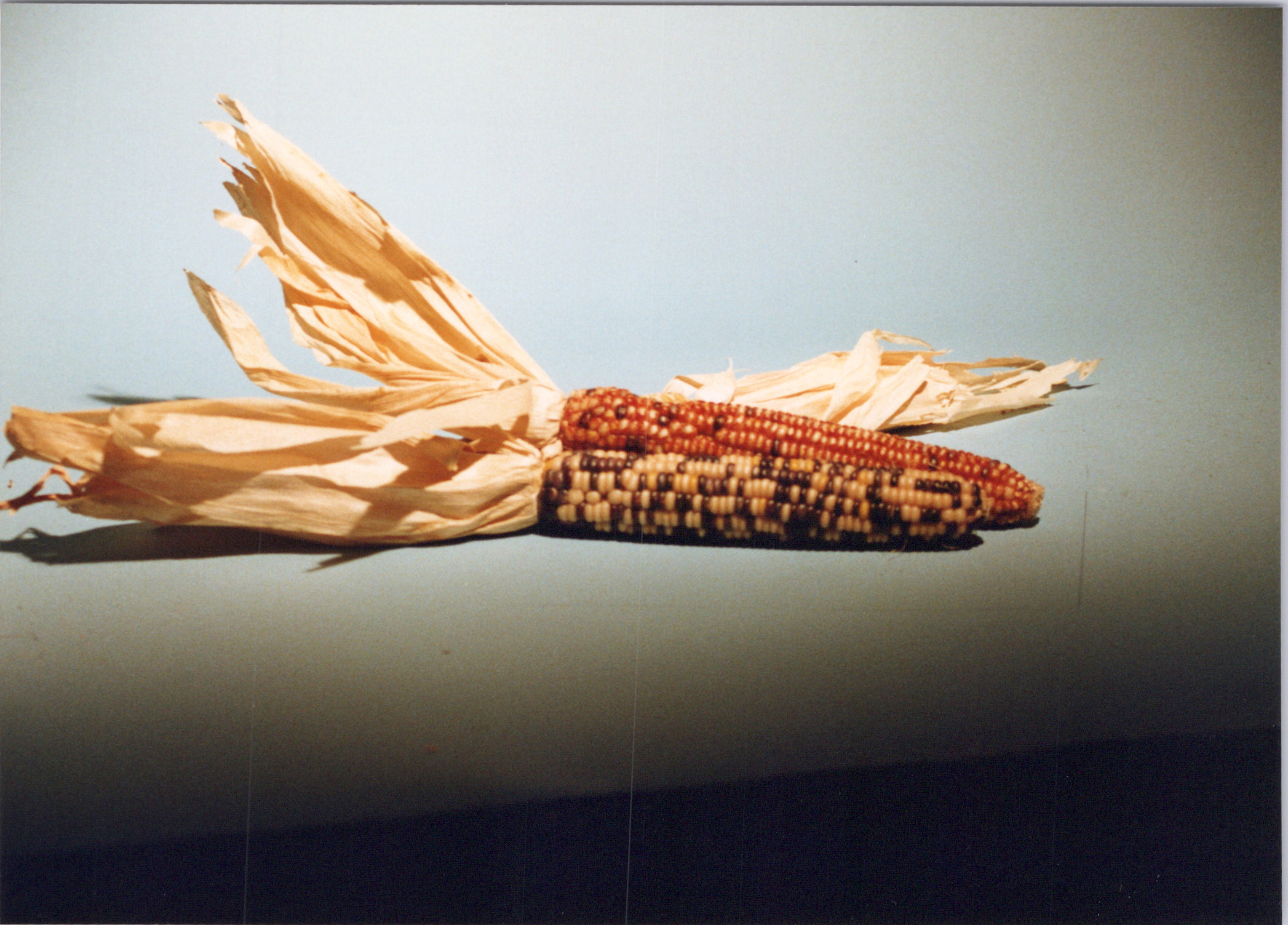 2025-04-12-0379