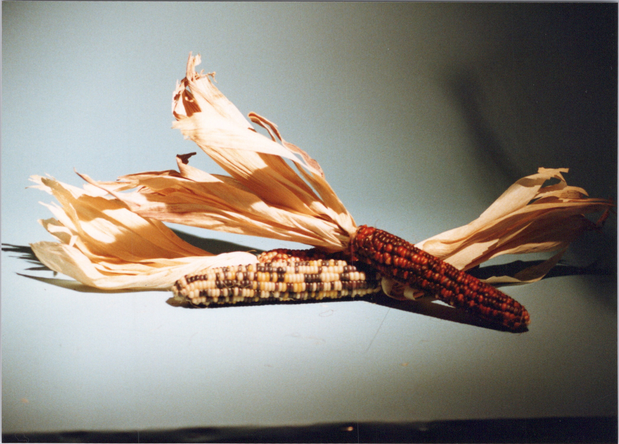 2025-04-12-0384